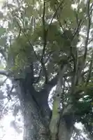 水分神社(山口県)