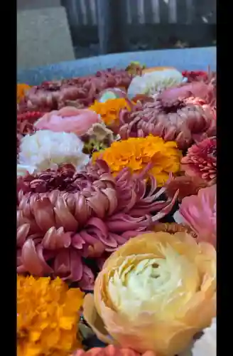 行田八幡神社の{uncategorized: "未分類", other: "その他", undefined: "問題あり", building: "その他建物", grave: "お墓", sacred_gate: "鳥居", guardian: "狛犬", statue: "像", buddha: "仏像", history: "歴史", nature: "自然", garden: "庭園", animal: "動物", pagoda: "塔", temizu: "手水舎", mountain_gate: "山門・神門", sanctuary: "本殿・本堂", subordinate: "末社・摂社", art: "芸術", scenery: "景色", jizo: "地蔵", ema: "絵馬", goshuin: "御朱印", omikuji: "おみくじ", items: "授与品その他", amulet: "お守り", goshuincho: "御朱印帳", eats: "食事", festival: "お祭り", votive_dance: "神楽", shichigosan: "七五三参", wedding: "結婚式", experience: "体験その他", initially: "初詣", around: "周辺", anti_infection: "感染症対策"}