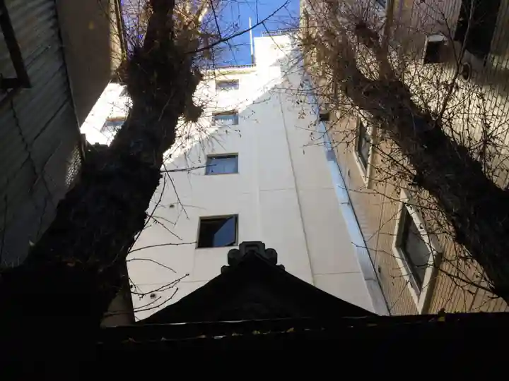 箭弓稲荷神社の自然