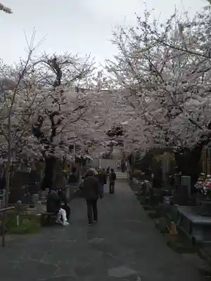 浄心寺(東京都)