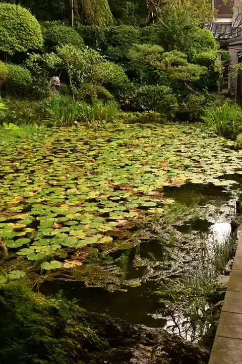 乘臺寺(高知県)