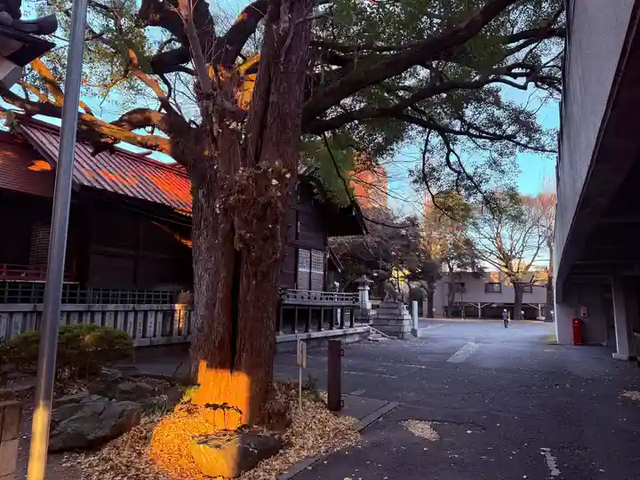高﨑神社(群馬県)