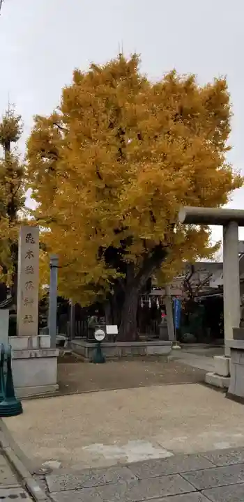 飛木稲荷神社の自然