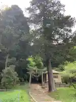 天神社(千葉県)