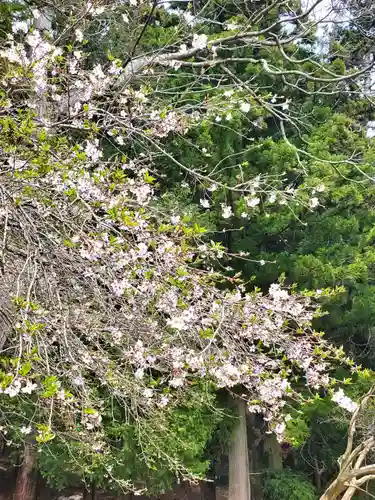 鹿島大神宮(福島県)