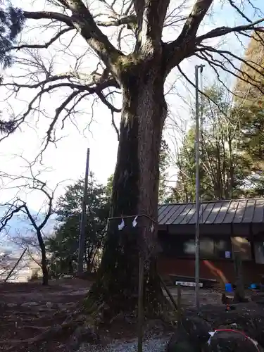 北野天神社(山梨県)