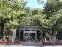 大國魂神社の鳥居