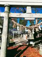 白山神社の鳥居