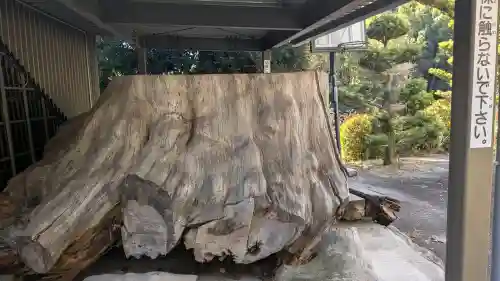 勝楽寺の{uncategorized: "未分類", other: "その他", undefined: "問題あり", building: "その他建物", grave: "お墓", sacred_gate: "鳥居", guardian: "狛犬", statue: "像", buddha: "仏像", history: "歴史", nature: "自然", garden: "庭園", animal: "動物", pagoda: "塔", temizu: "手水舎", mountain_gate: "山門・神門", sanctuary: "本殿・本堂", subordinate: "末社・摂社", art: "芸術", scenery: "景色", jizo: "地蔵", ema: "絵馬", goshuin: "御朱印", omikuji: "おみくじ", items: "授与品その他", amulet: "お守り", goshuincho: "御朱印帳", eats: "食事", festival: "お祭り", votive_dance: "神楽", shichigosan: "七五三参", wedding: "結婚式", experience: "体験その他", initially: "初詣", around: "周辺", anti_infection: "感染症対策"}