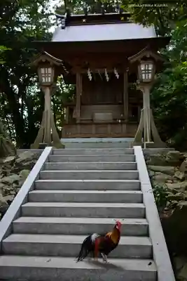 大甕神社(茨城県)