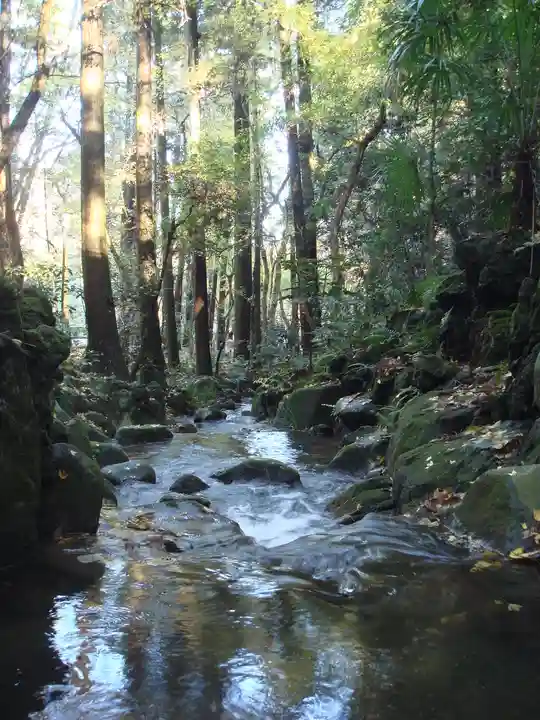 成田山新勝寺の自然