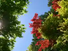 滑川神社 - 仕事と子どもの守り神の自然