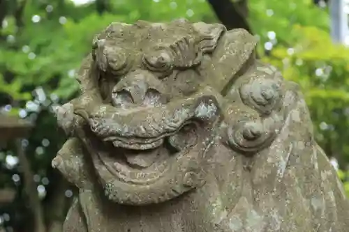 菅布禰神社の狛犬