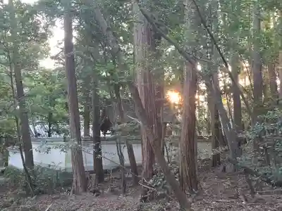 當麻山口神社(奈良県)