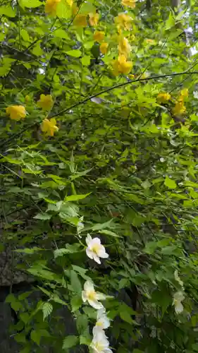 椎尾神社の自然