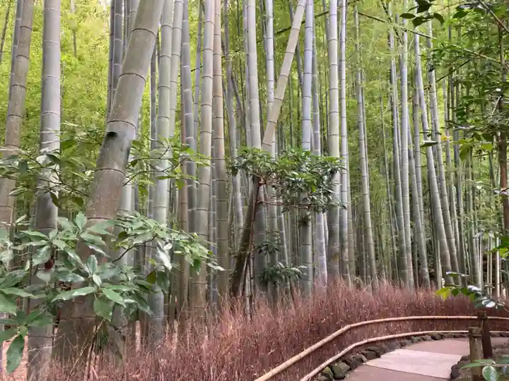 報国寺(神奈川県)