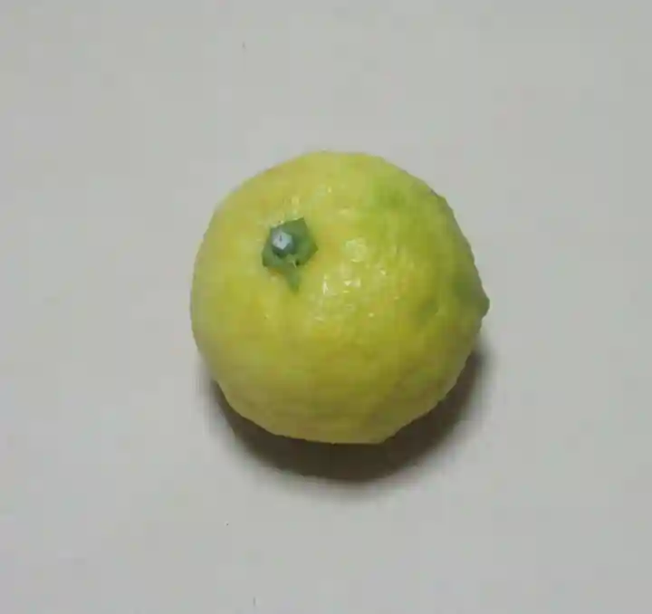 諏訪神社(新潟県)