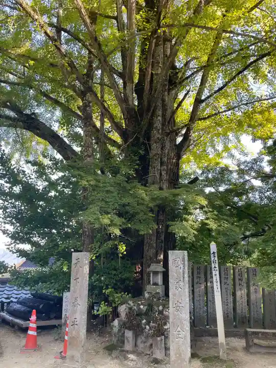 大窪寺(香川県)