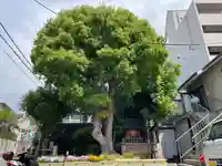 田邊山神社遥拝所(兵庫県)