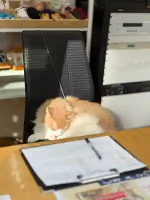 駒込妙義神社(東京都)