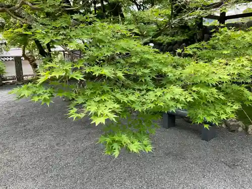 修禅寺(静岡県)