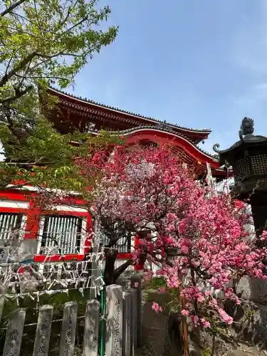 大須観音 （北野山真福寺宝生院）(愛知県)