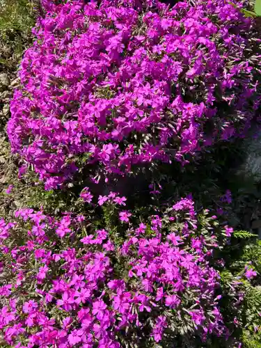 萩日吉神社(埼玉県)