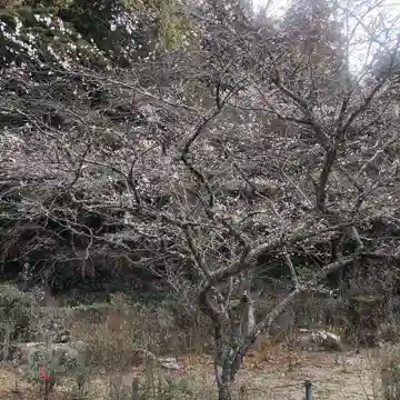 正宗寺(愛知県)