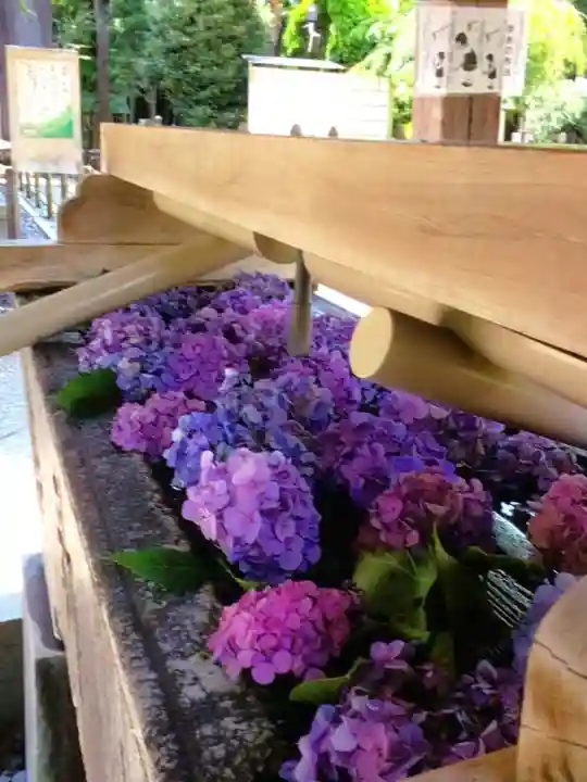 鳩森八幡神社の手水舎