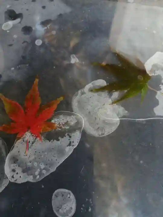 伏木香取神社の手水舎