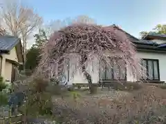 朝日森天満宮の庭園