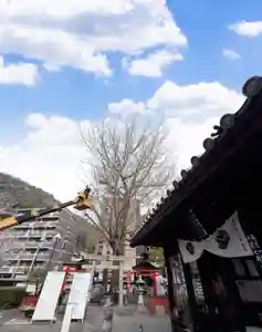 瀧宮神社(広島県)(2026年04月07日(火) 06時55分38秒投稿)