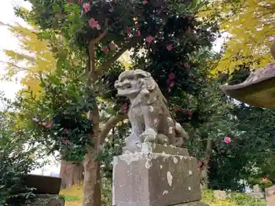 八雲神社の狛犬