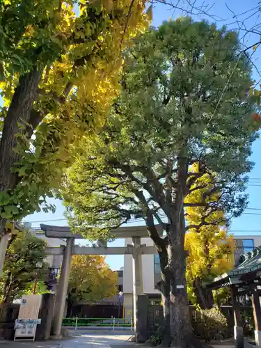 麻布氷川神社の自然