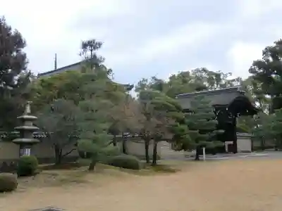 東寺（教王護国寺）(京都府)