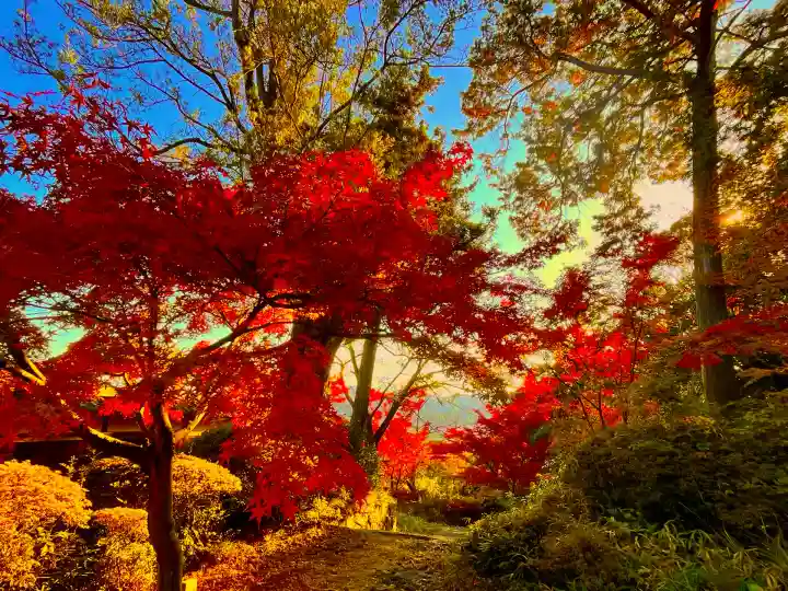 善水寺(滋賀県)