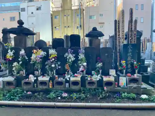 常圓寺の{uncategorized: "未分類", other: "その他", undefined: "問題あり", building: "その他建物", grave: "お墓", sacred_gate: "鳥居", guardian: "狛犬", statue: "像", buddha: "仏像", history: "歴史", nature: "自然", garden: "庭園", animal: "動物", pagoda: "塔", temizu: "手水舎", mountain_gate: "山門・神門", sanctuary: "本殿・本堂", subordinate: "末社・摂社", art: "芸術", scenery: "景色", jizo: "地蔵", ema: "絵馬", goshuin: "御朱印", omikuji: "おみくじ", items: "授与品その他", amulet: "お守り", goshuincho: "御朱印帳", eats: "食事", festival: "お祭り", votive_dance: "神楽", shichigosan: "七五三参", wedding: "結婚式", experience: "体験その他", initially: "初詣", around: "周辺", anti_infection: "感染症対策"}