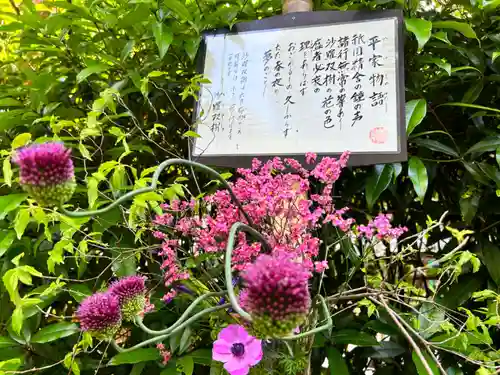 明月院(神奈川県)