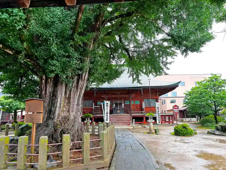 飛騨国分寺(岐阜県)