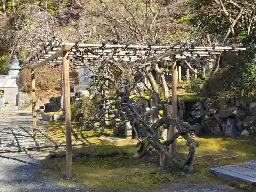 今熊野観音寺(京都府)