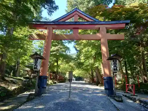 日吉大社の鳥居