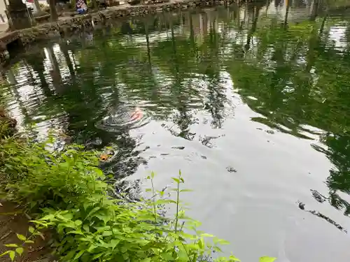 涌釜神社の庭園