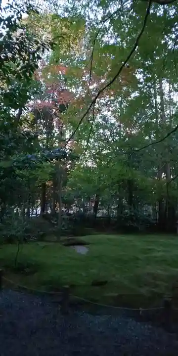 野宮神社の自然