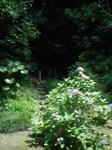 妙本寺(神奈川県)