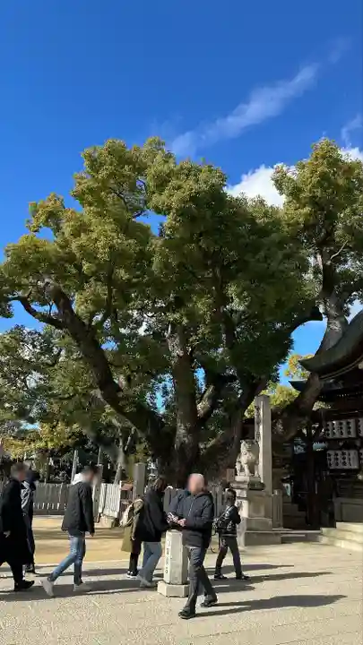 石切劔箭神社(大阪府)