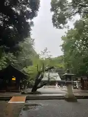 乃木神社(東京都)