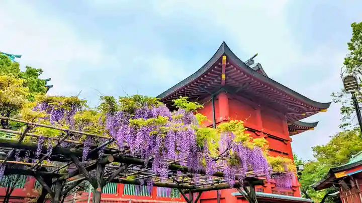 神田神社(神田明神)の自然
