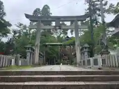 針綱神社の鳥居