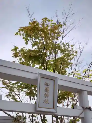 アミュプラザくまもと加藤神社の鳥居