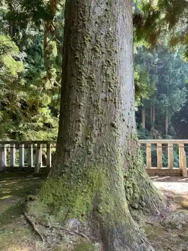 天一神社(奈良県)